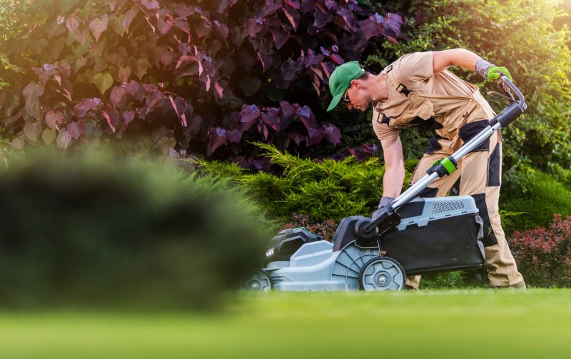 Yard Mowing