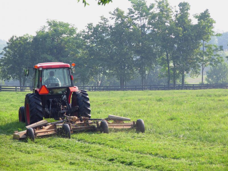 Bush Hog Mowing in Duluth, MN