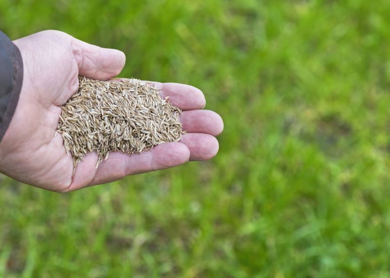 Commercial Lawn Seeding in Ventura County, CA