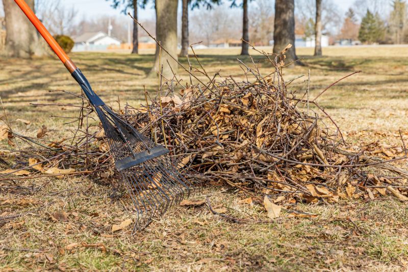Leaf and Debris Removal