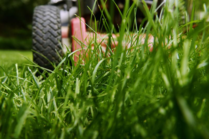 Vacant Lot Mowing in Calvert County, MD