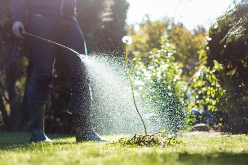 Weed Prevention Service in Rockwall, TX
