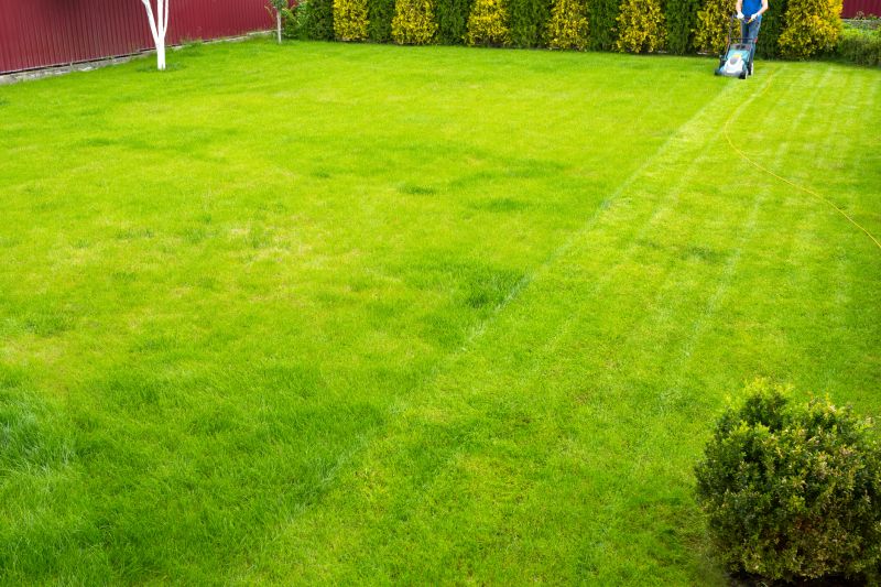 Seasonal Lawn Maintenance Companies