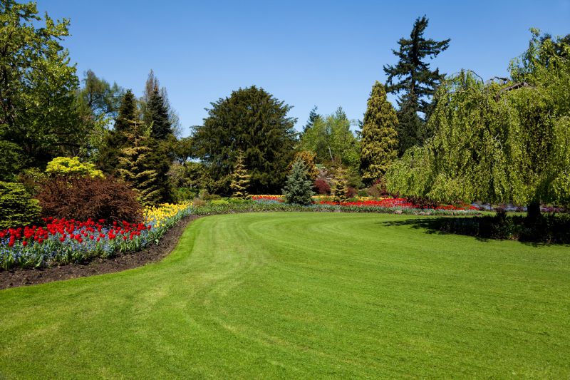 Have a Beautiful Looking Yard