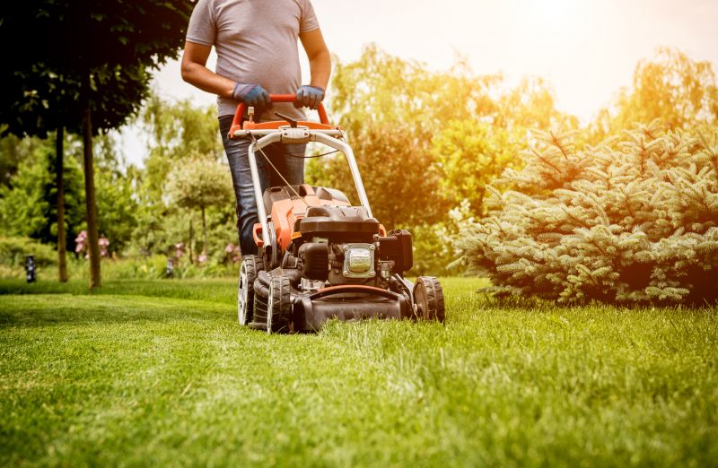 Have Your Lawn Cut For You By a Pro